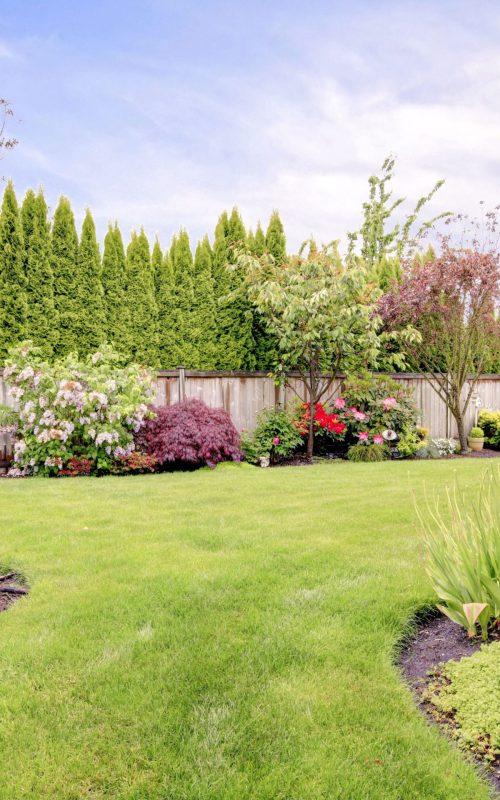 landscaping