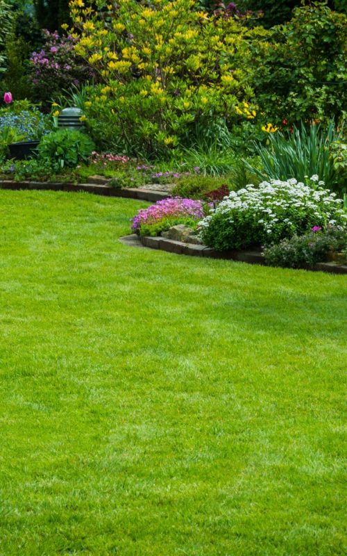 landscaping2