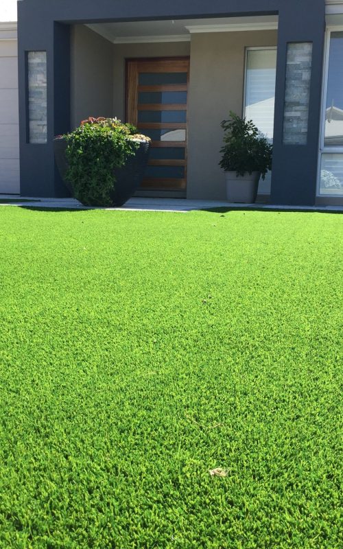 synthetic grass1